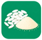 Rice & Ravva Sales